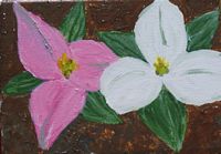 Link to "O'Keeffe Trilliums"