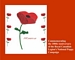 Link to "100 Poppies"