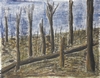 Link to "Sanctuary Wood, July 1916"
