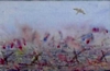 Link to "And in the Sky A Lark"