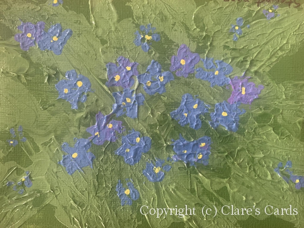 Forget-Me-Nots