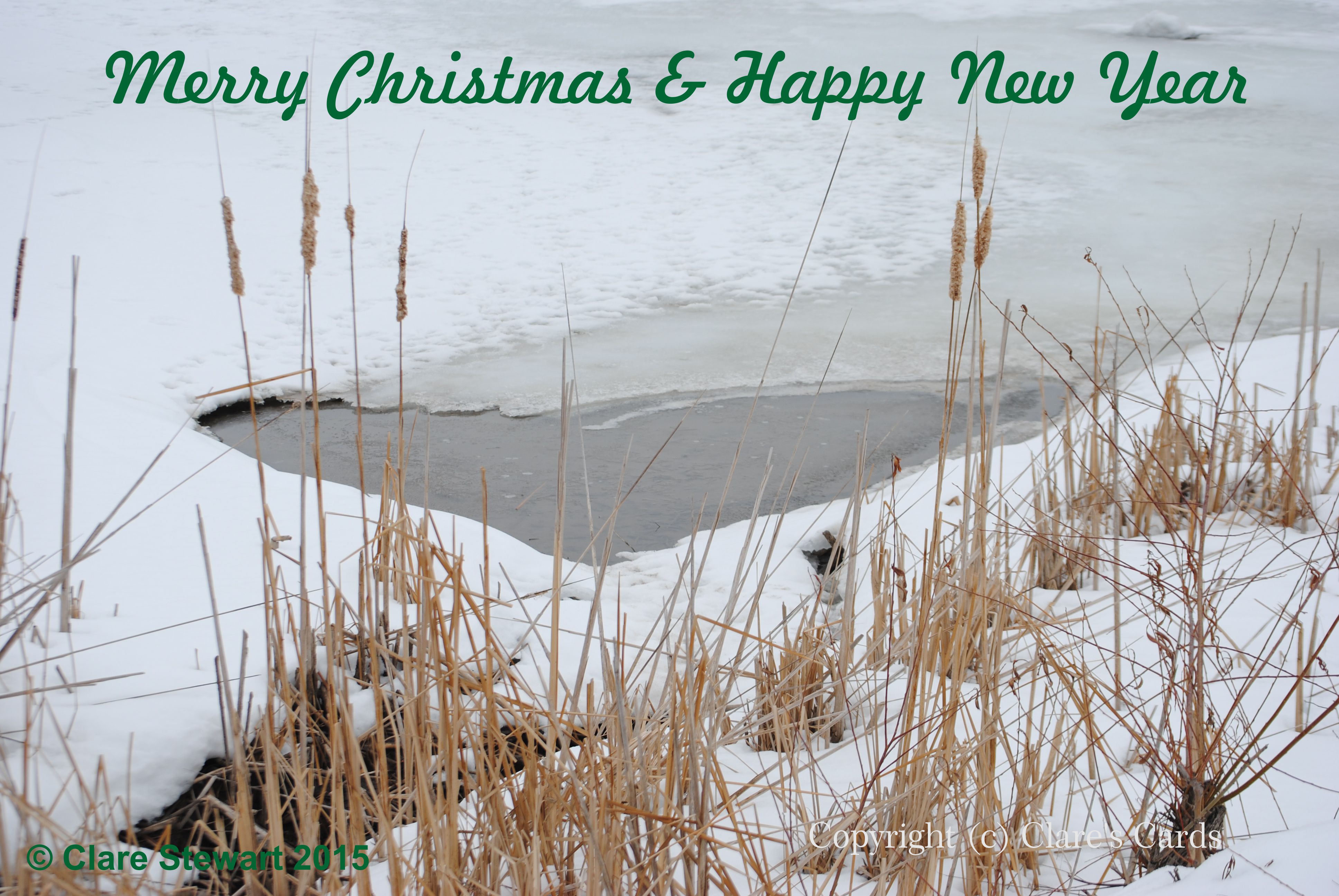 Snowy Pond