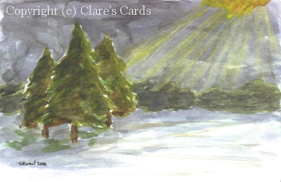 Winter Night