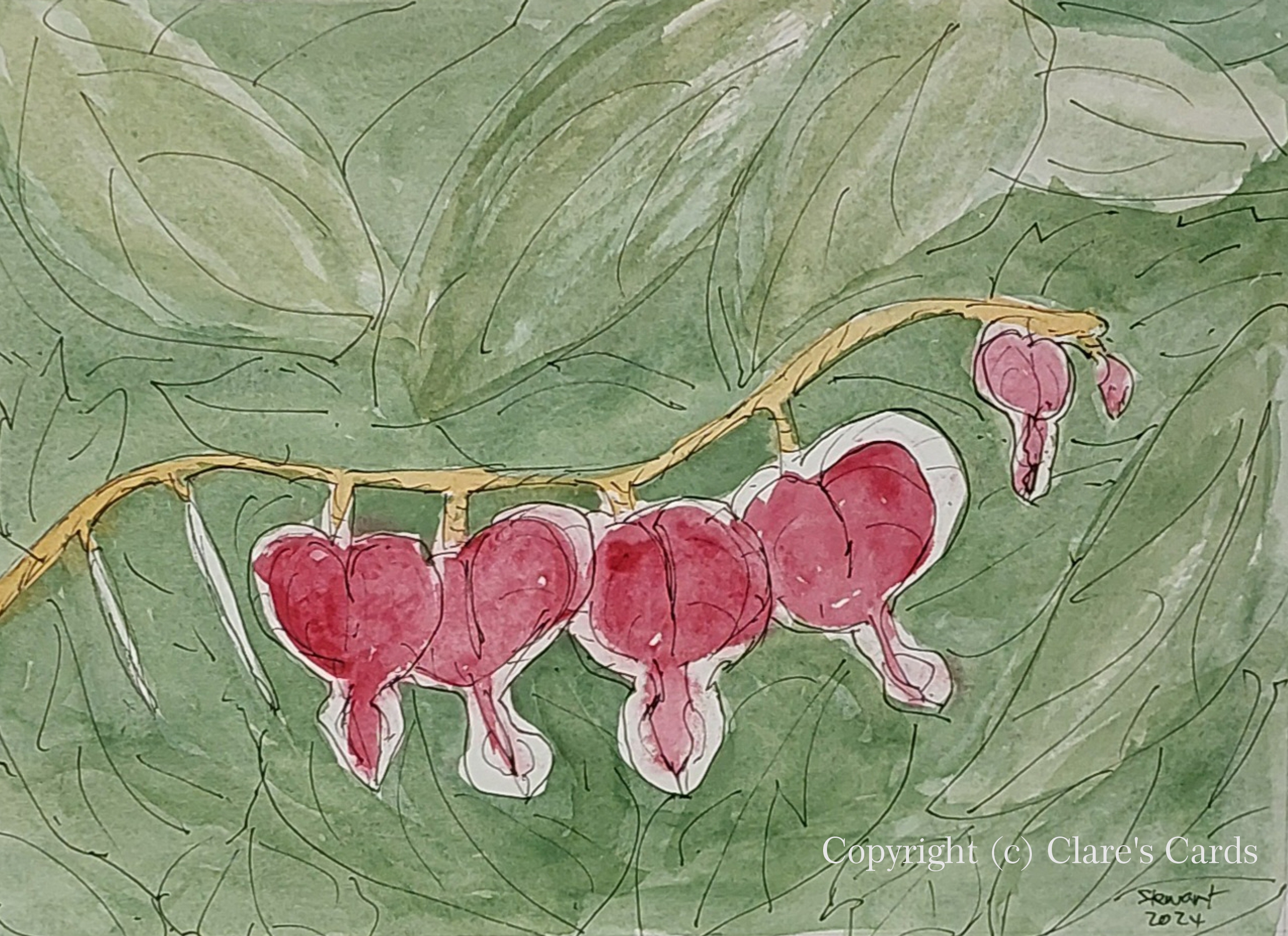 Bleeding Heart