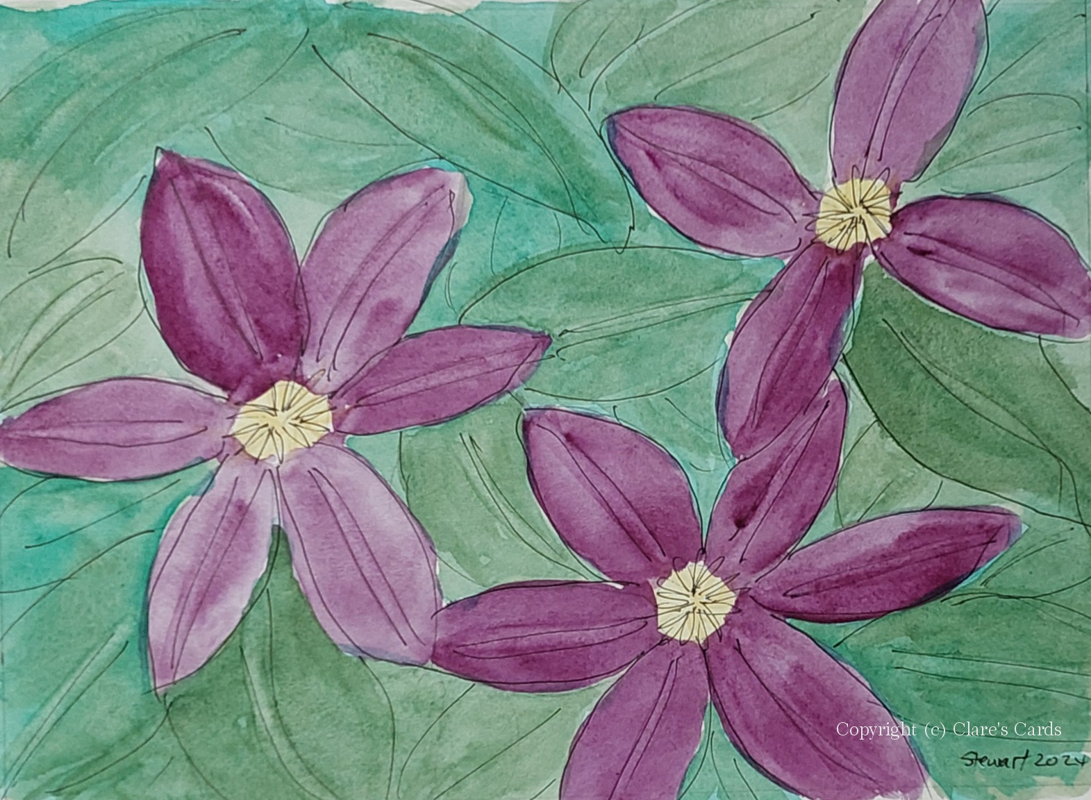 Clematis