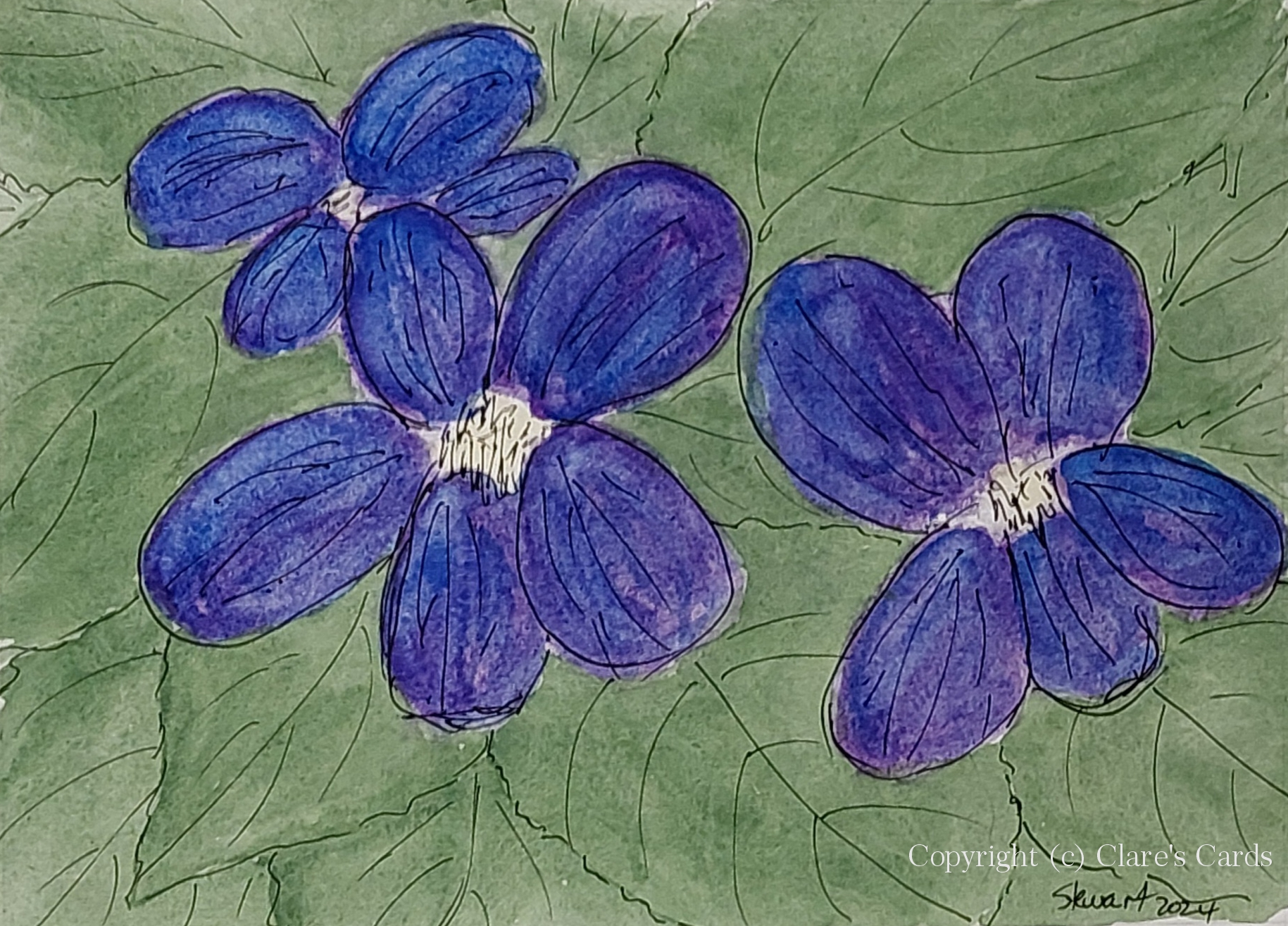 Violets
