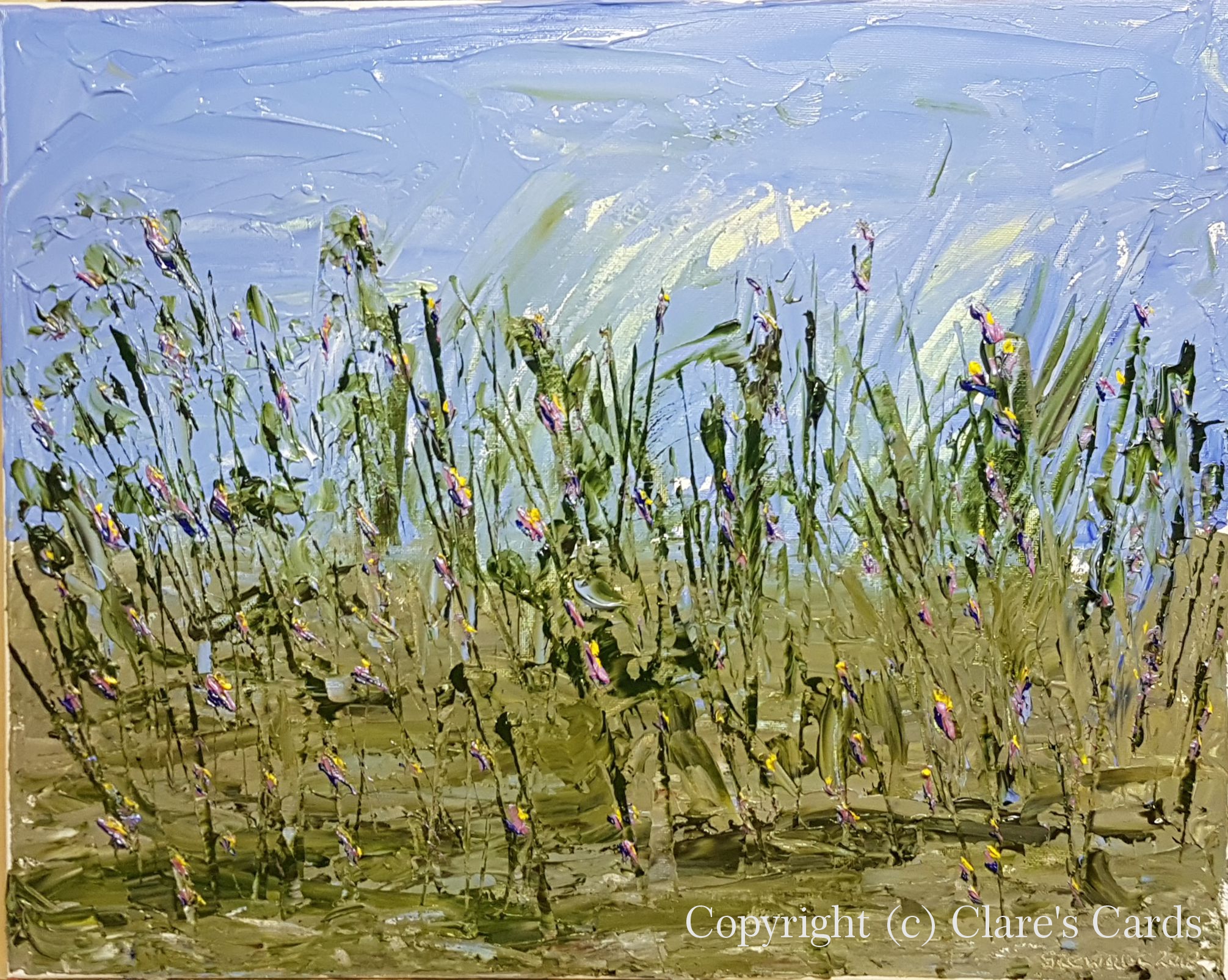 Imaginary Garden
