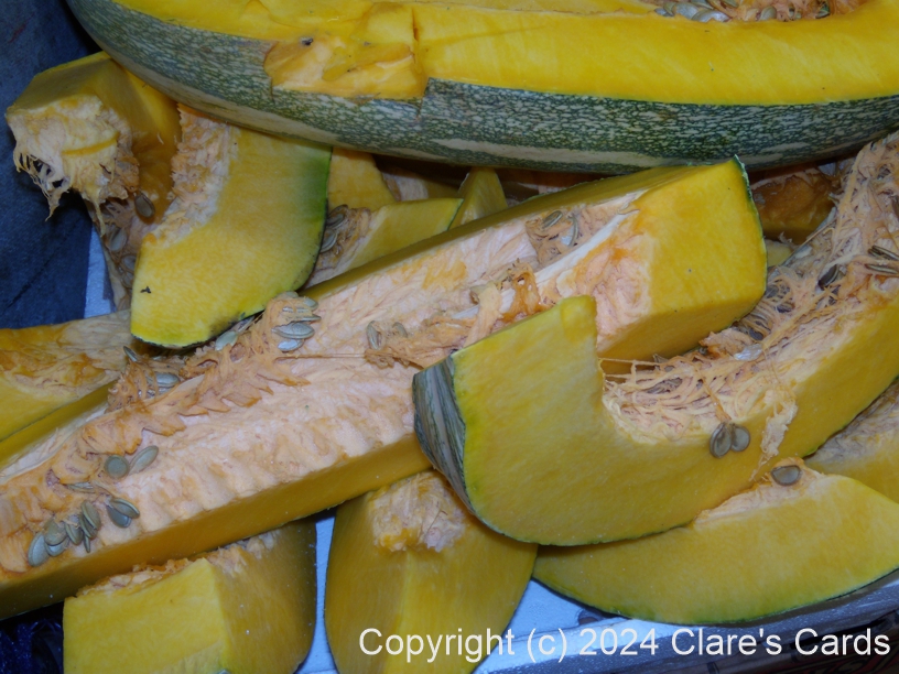 Squash slices