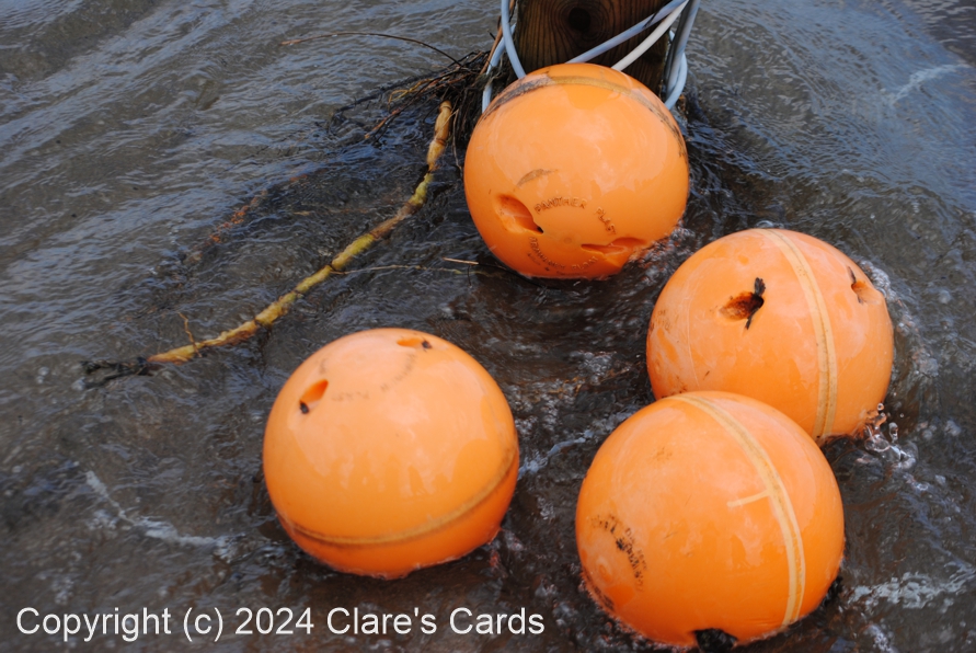 Floats