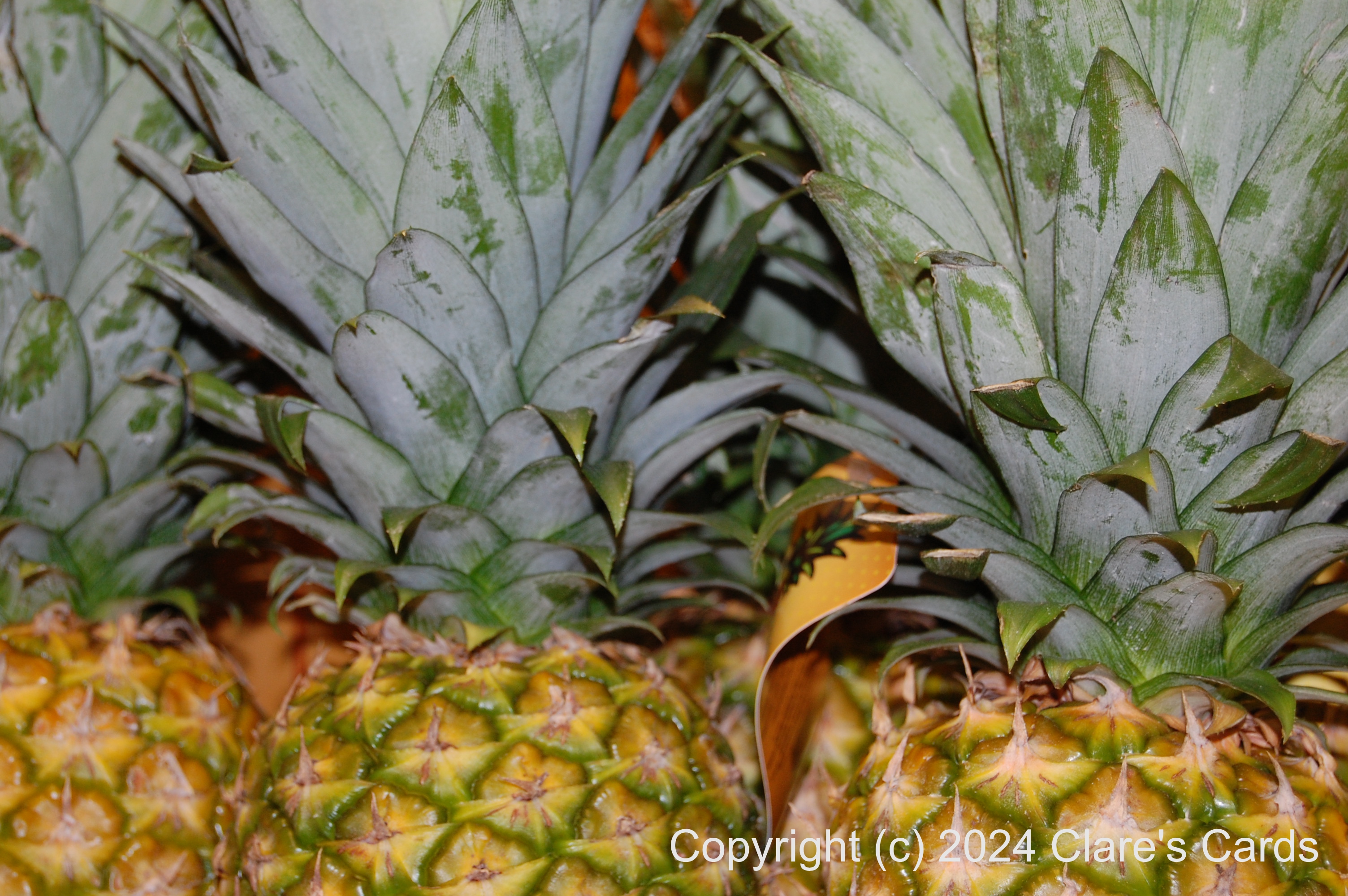 Pineapples
