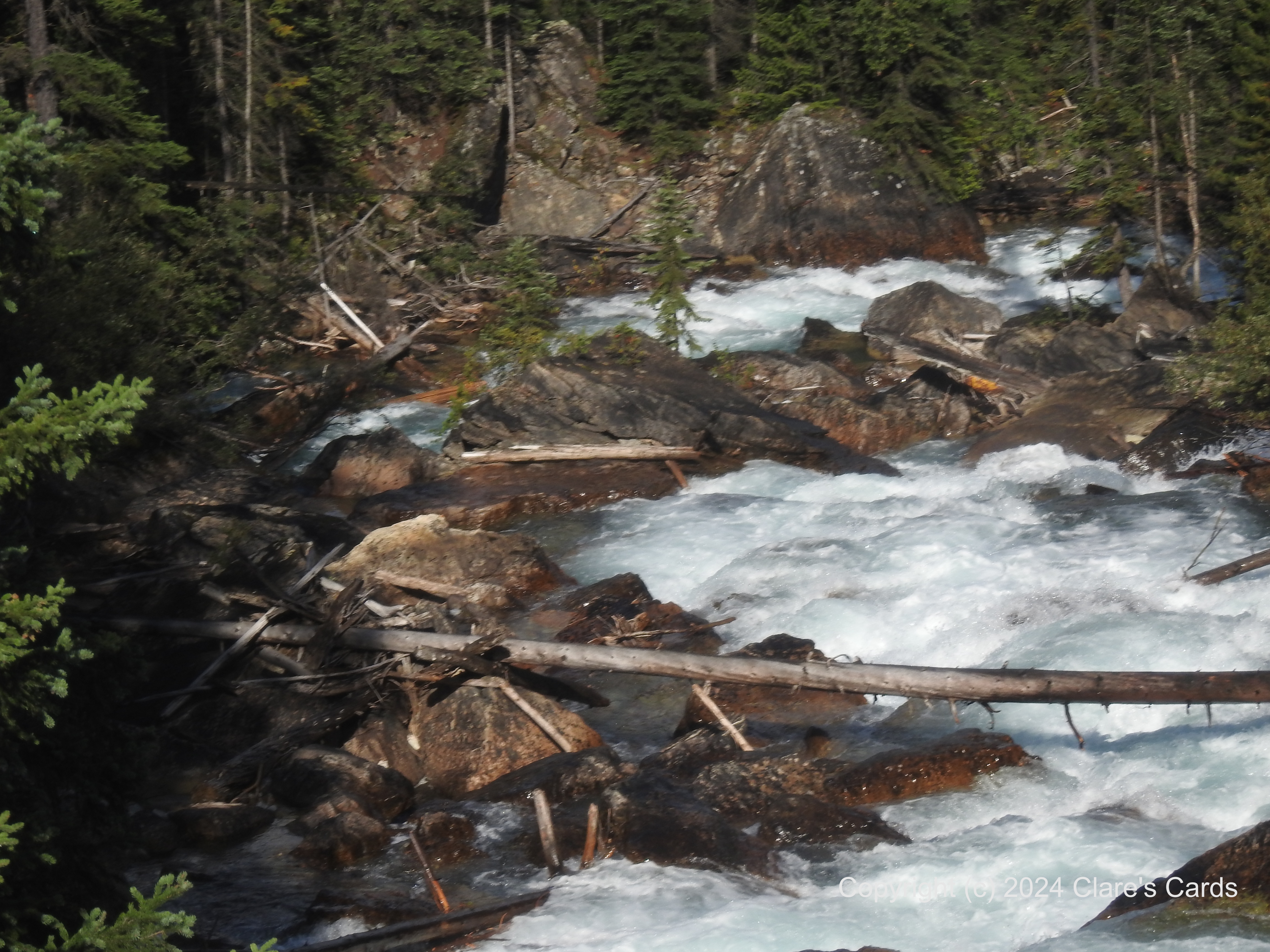Rocky Mountain River