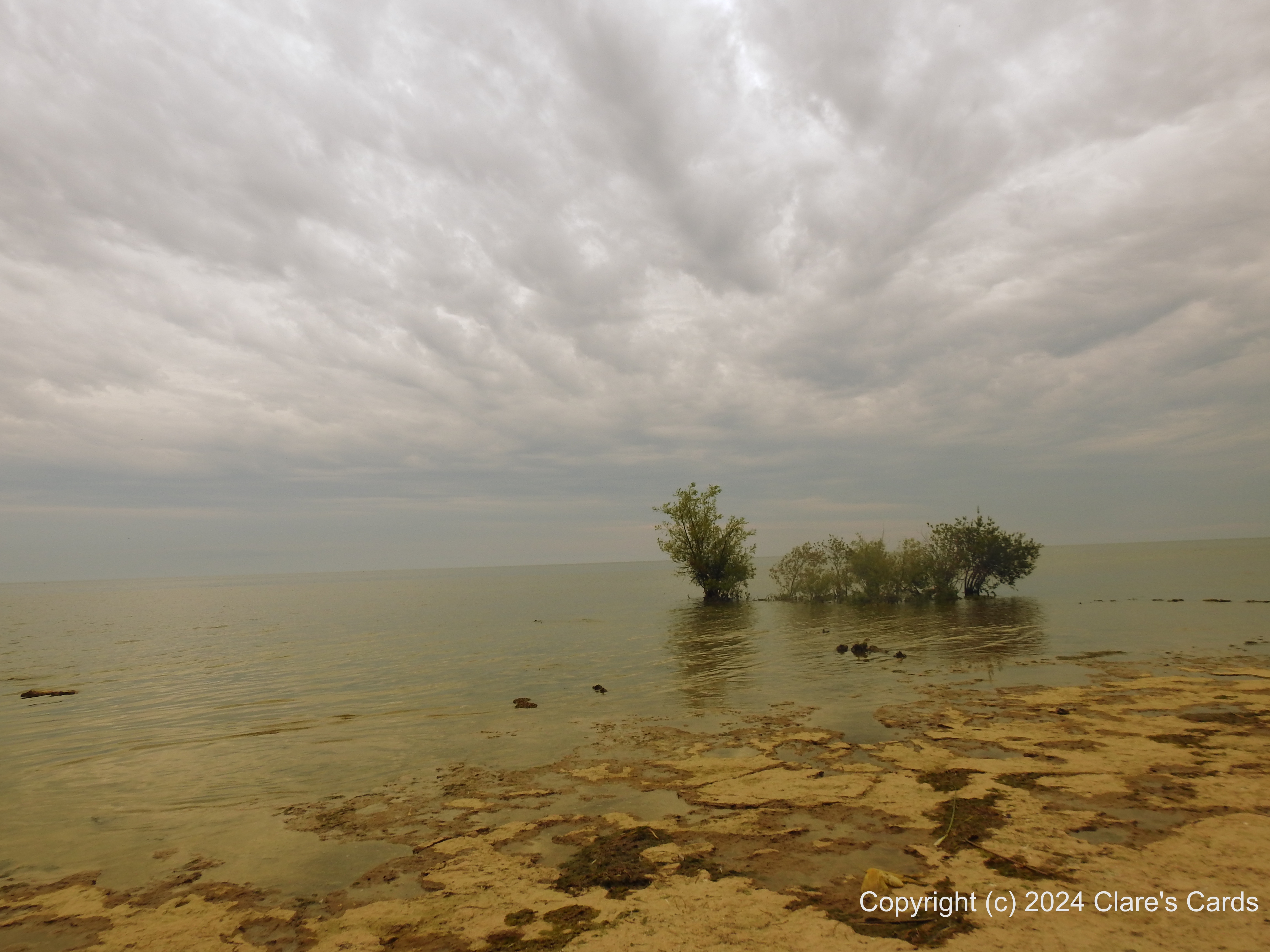 Selkirk Provincial Park
