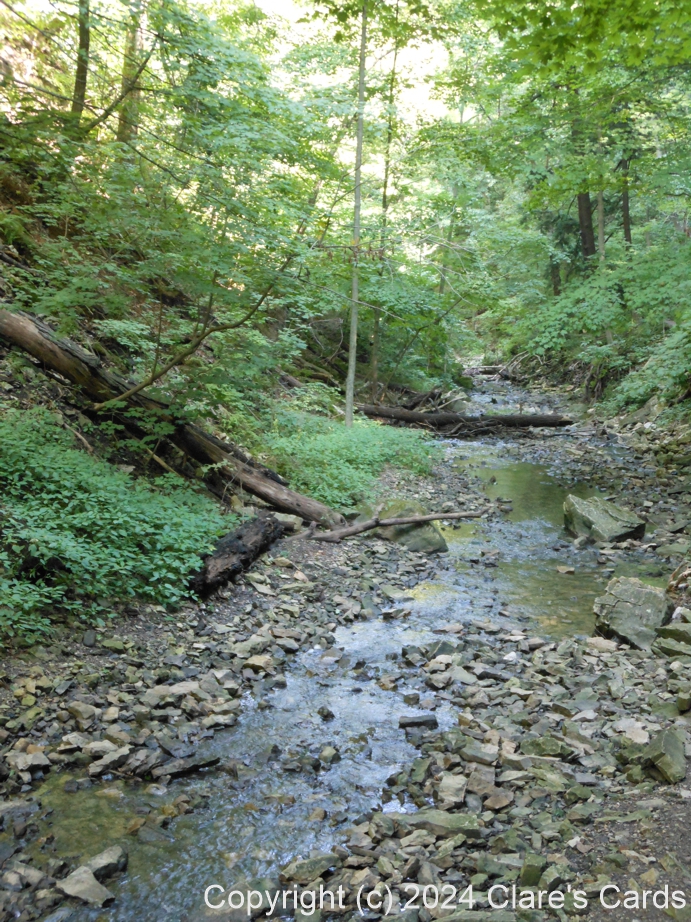 Creek, Eramosa Karst