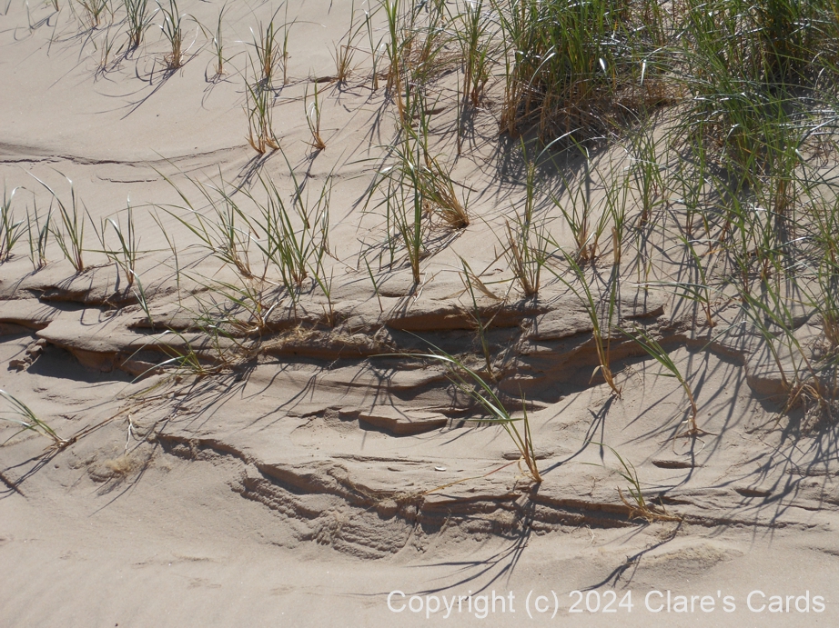 Greenwich Beach dunes, PEI