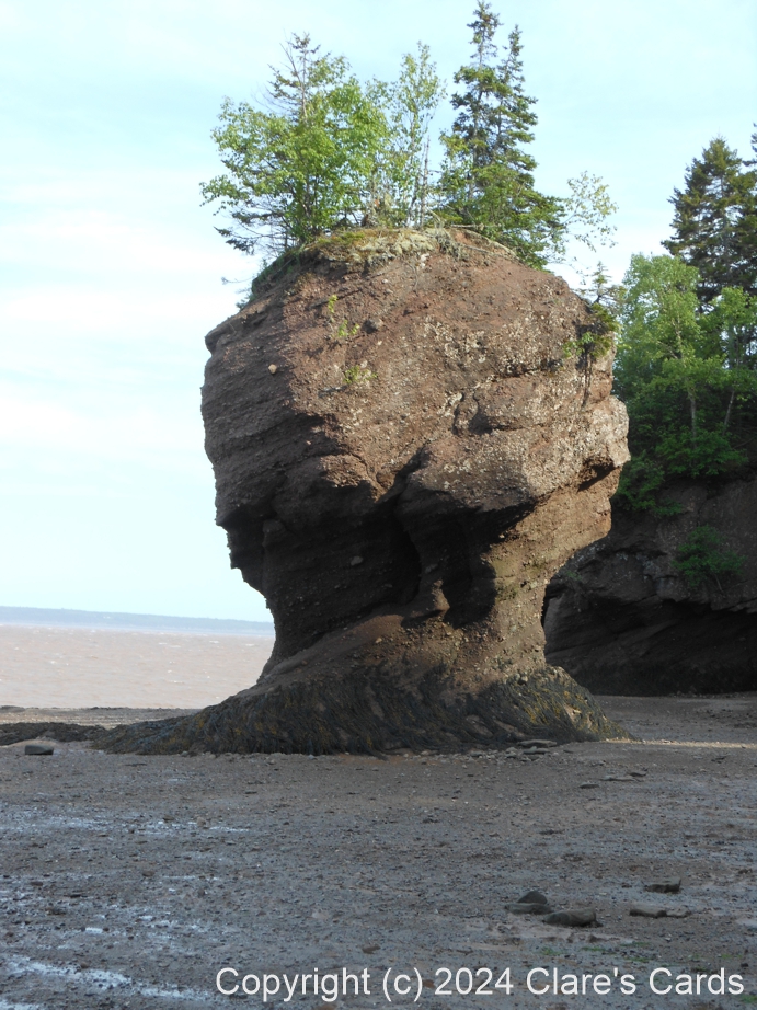 Hopewell Rock, Bay of Fundy, NB