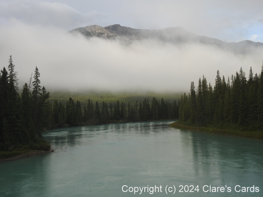Mountain Mist