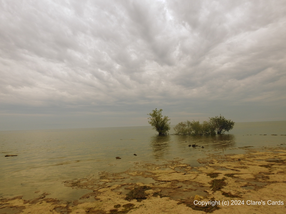 Lake Erie from Selkirk Provincial Park