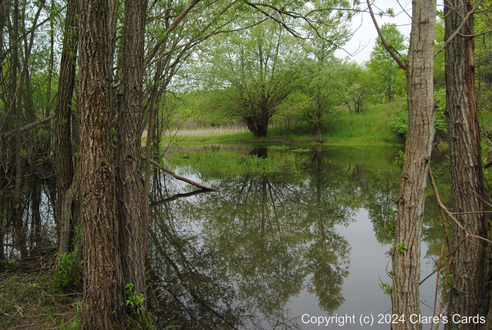 Spring Reflections, West Flamborough