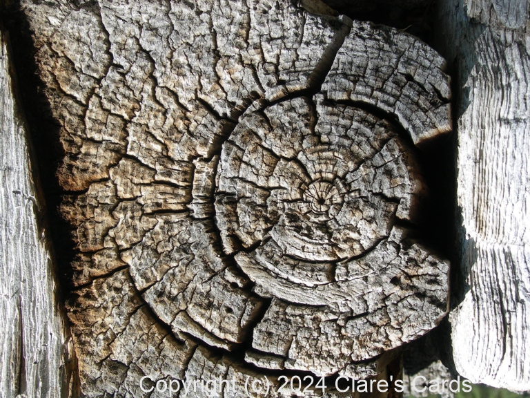Detail, Log House, Ball's Falls