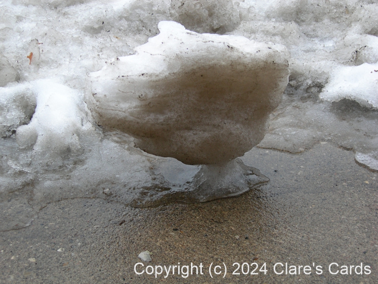 Ice Sculpture
