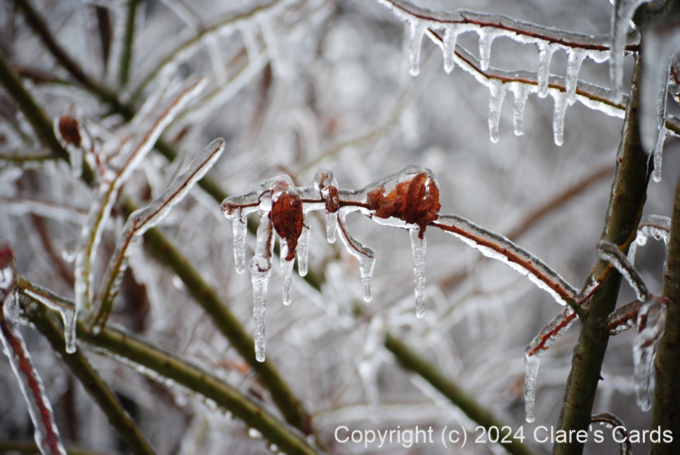 Leafy Icicles