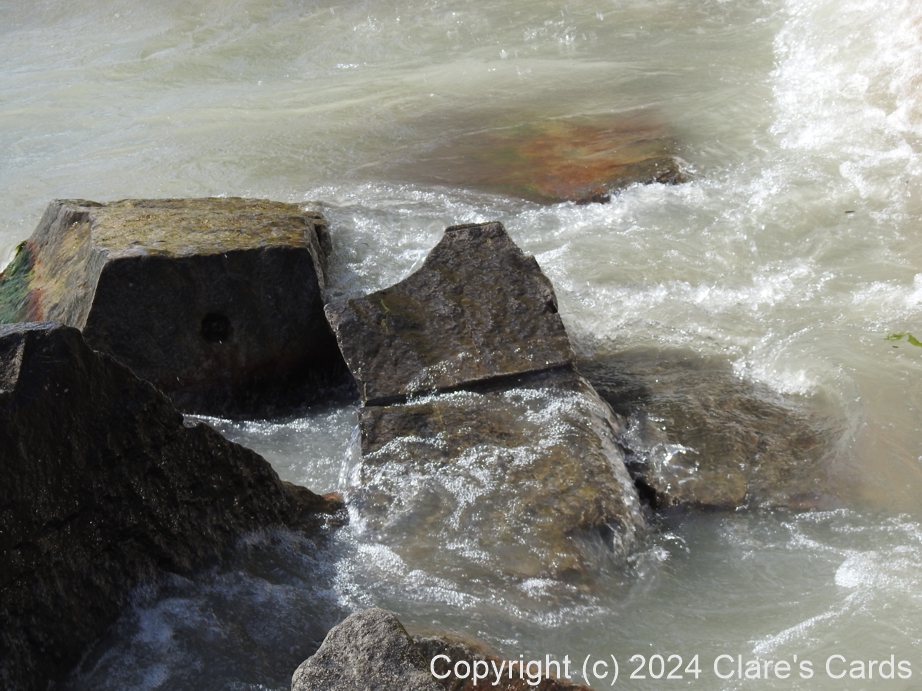 Rapids, Red Hill Valley Creek