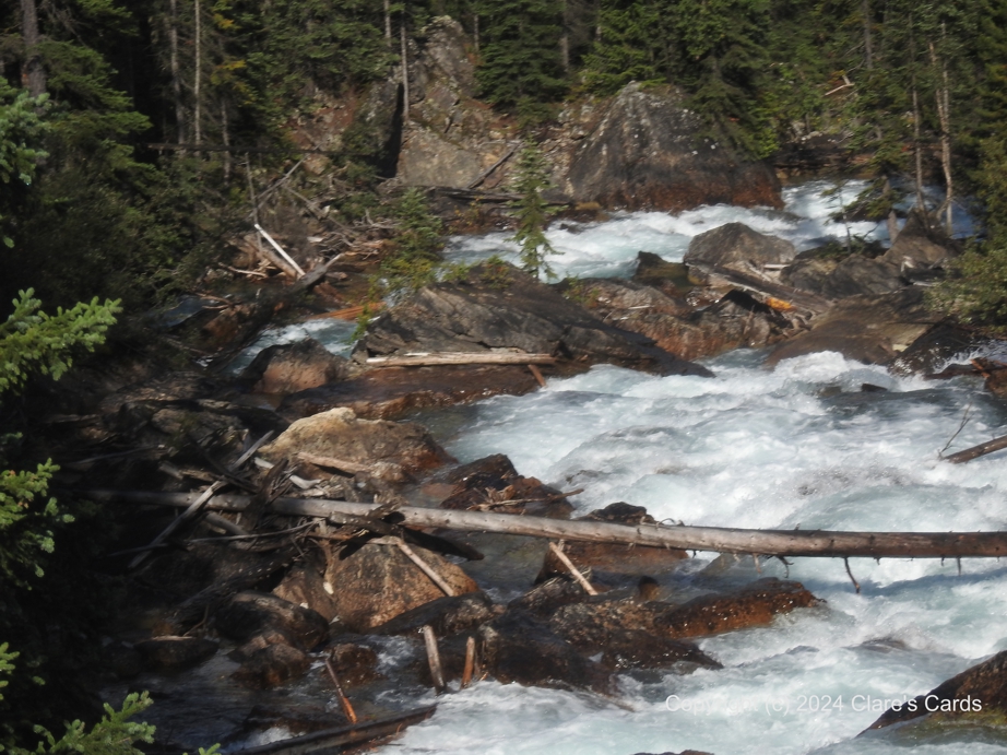 Rocky Mountain River