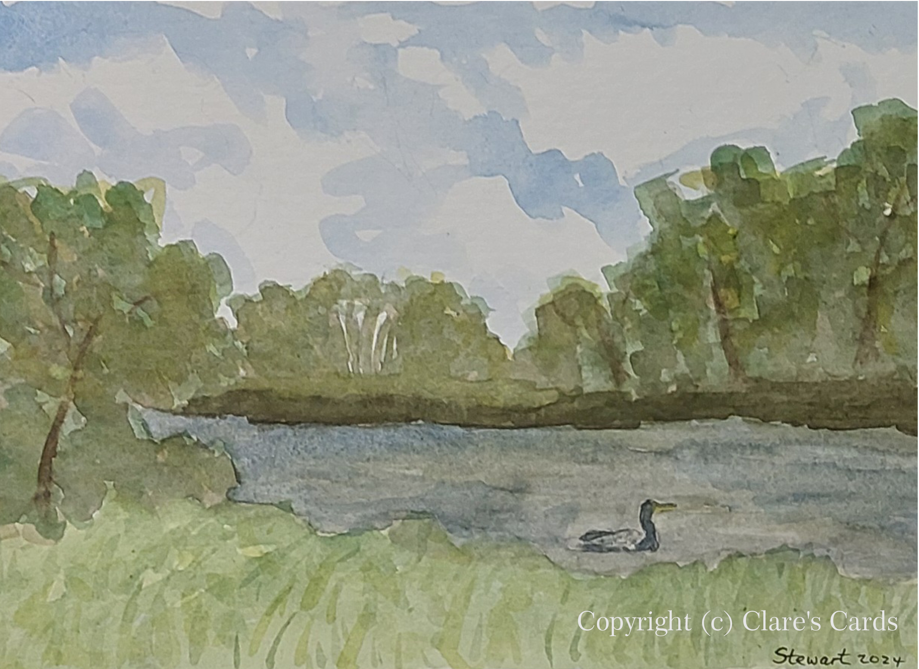 Cormorant, Desjardins Canal