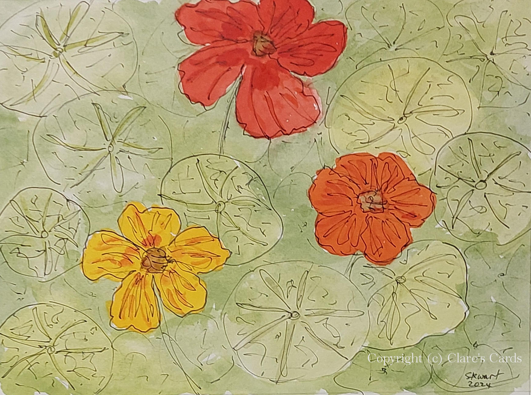 Nasturtium