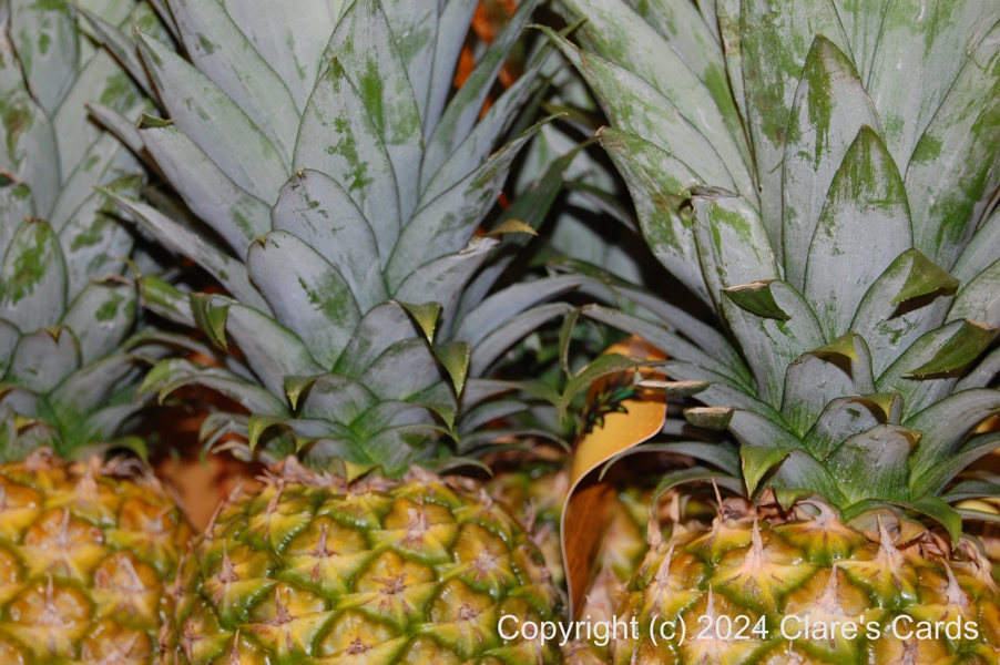 Pineapples