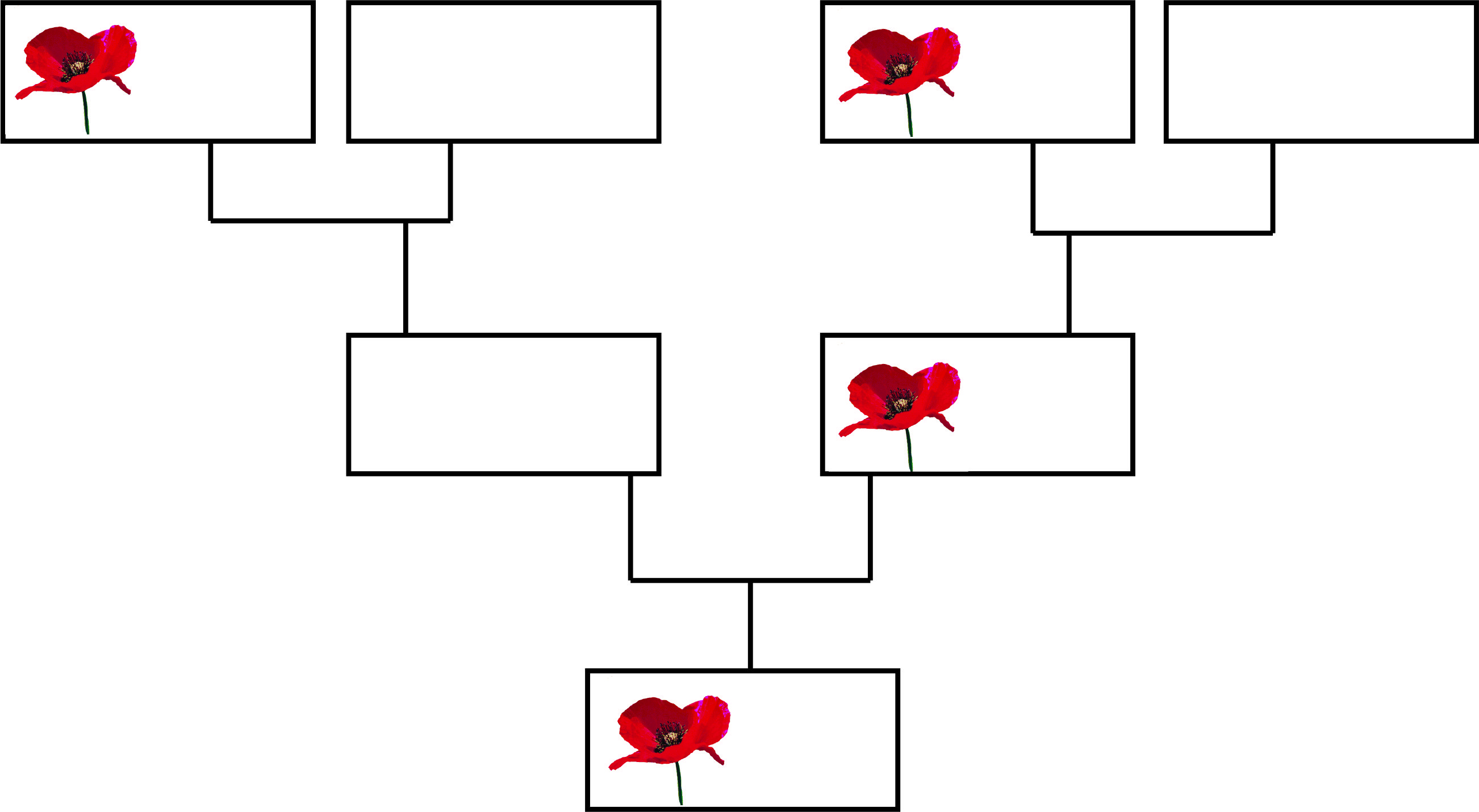 C&I Military Genealogy