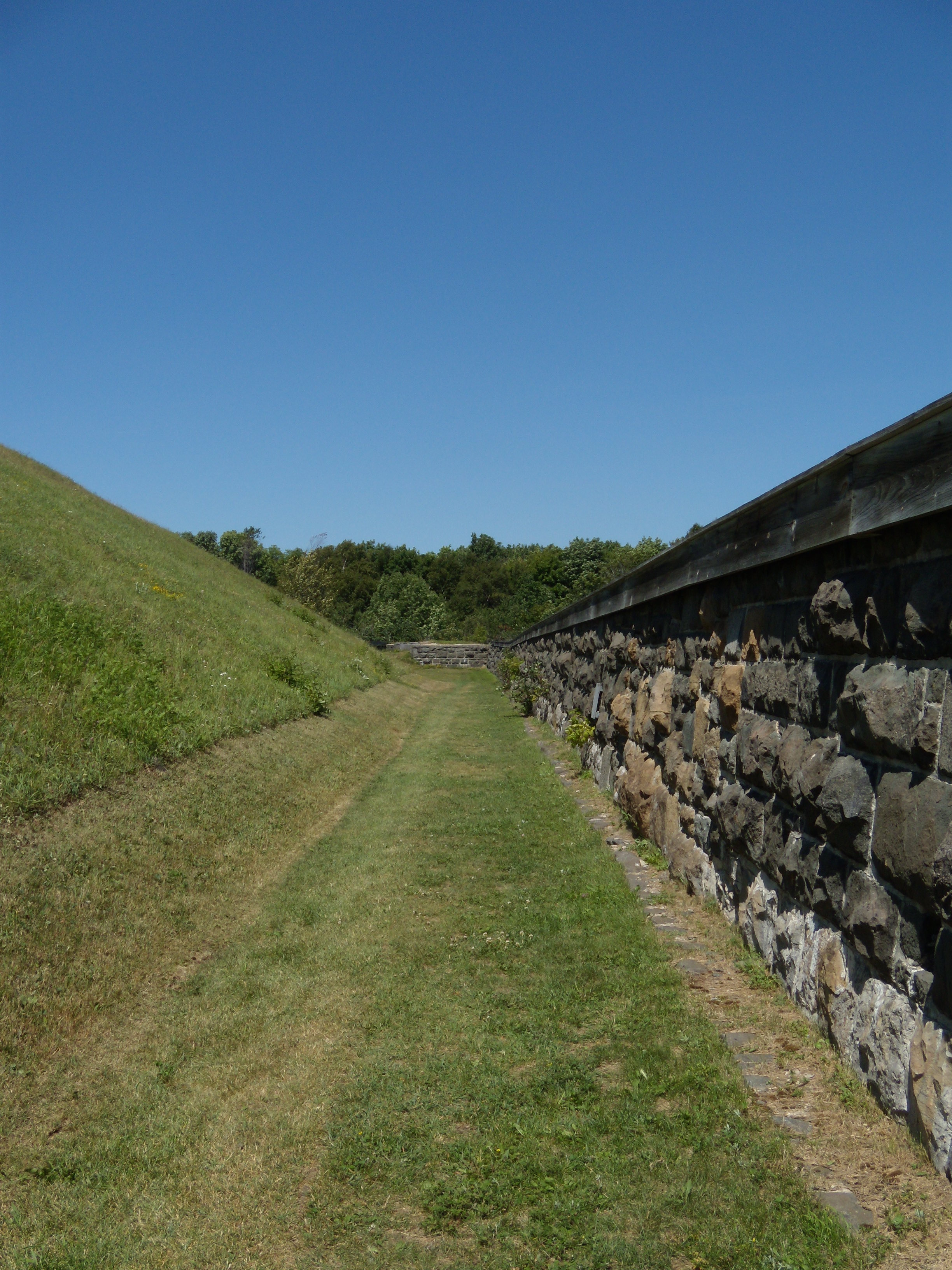 The Ditch