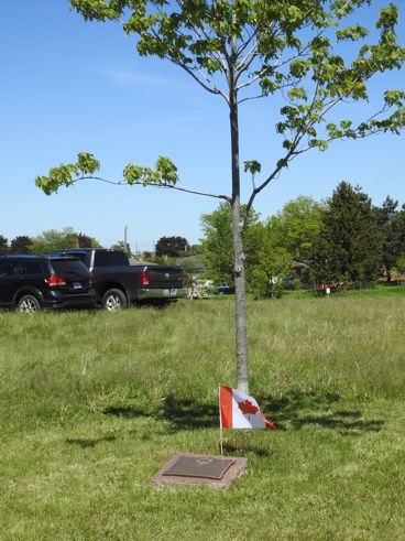 Memorial tree