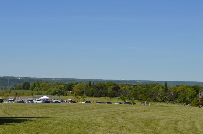 View of park