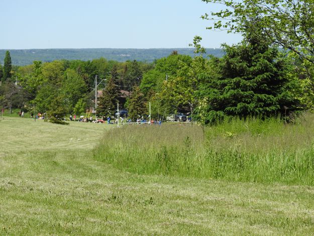 View of park