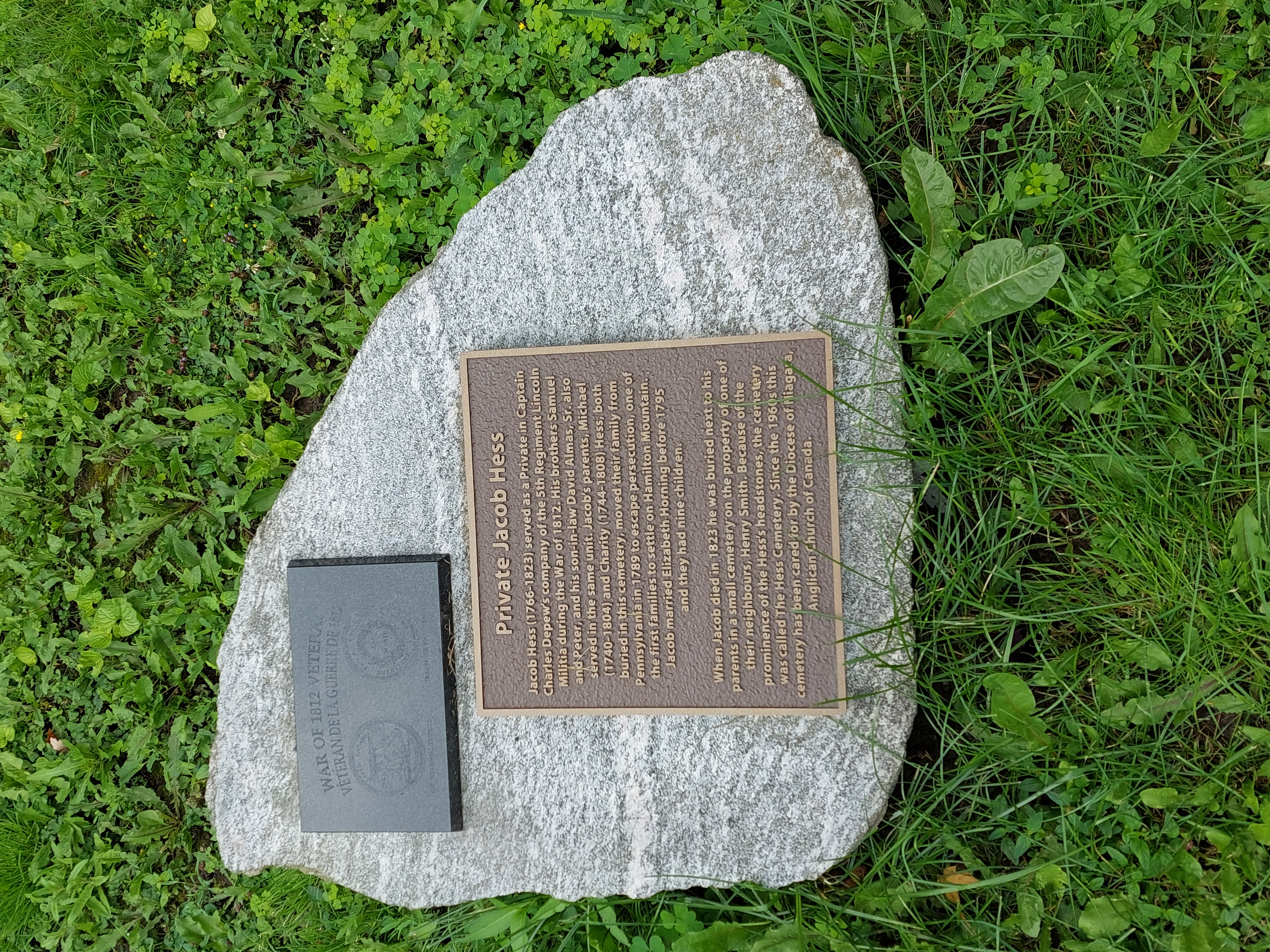 Plaque