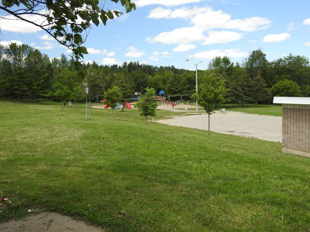 View of park
