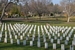 Field of Honour