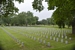 Field of Honour