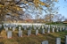 Field of Honour