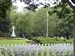 Field of Honour
