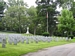 Field of Honour
