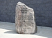 Cayuga Memorial Arena history