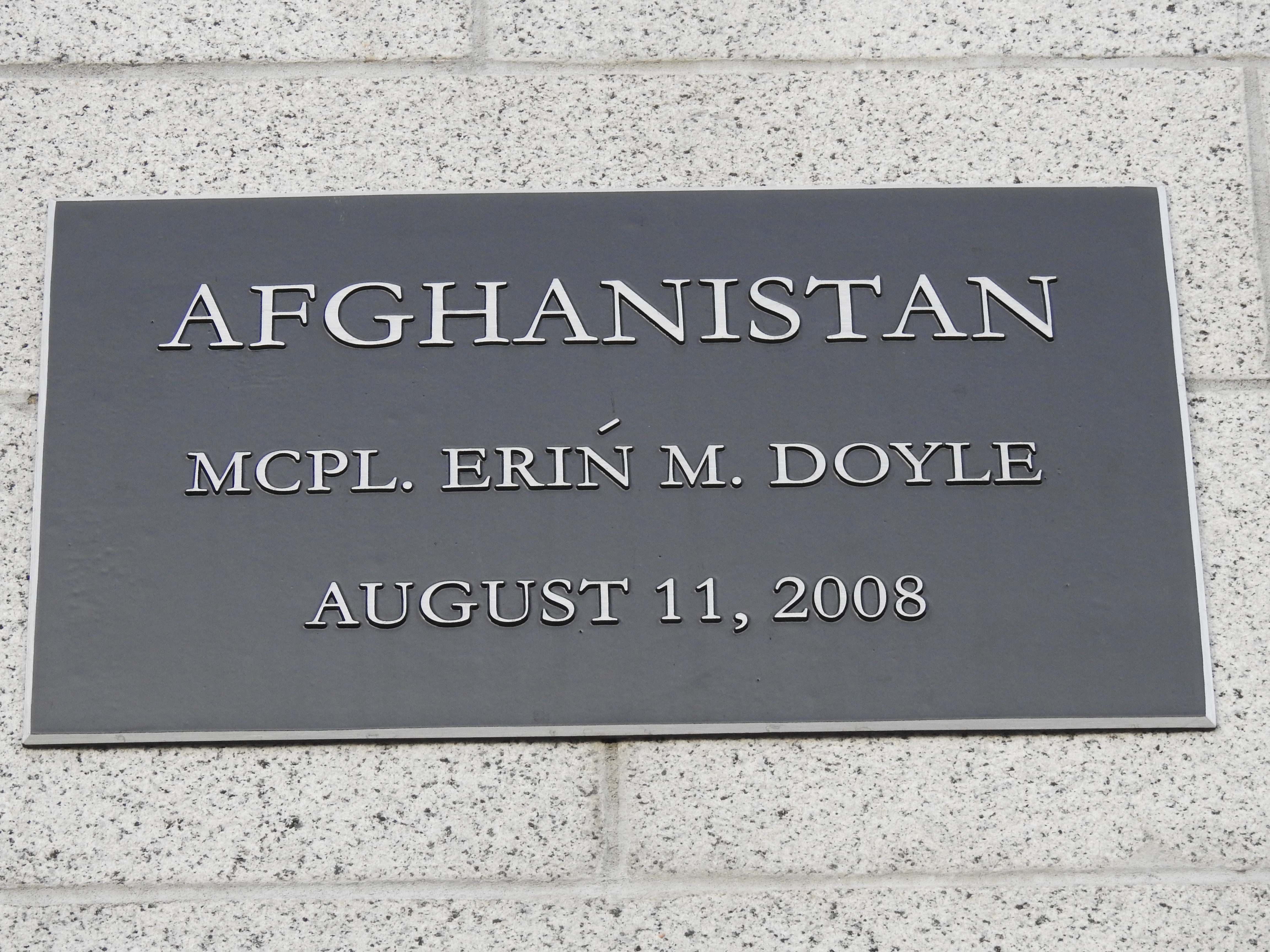 Afghanistan War dead