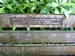 Memorial Bench