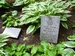 Memorial plaques