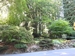 View of garden