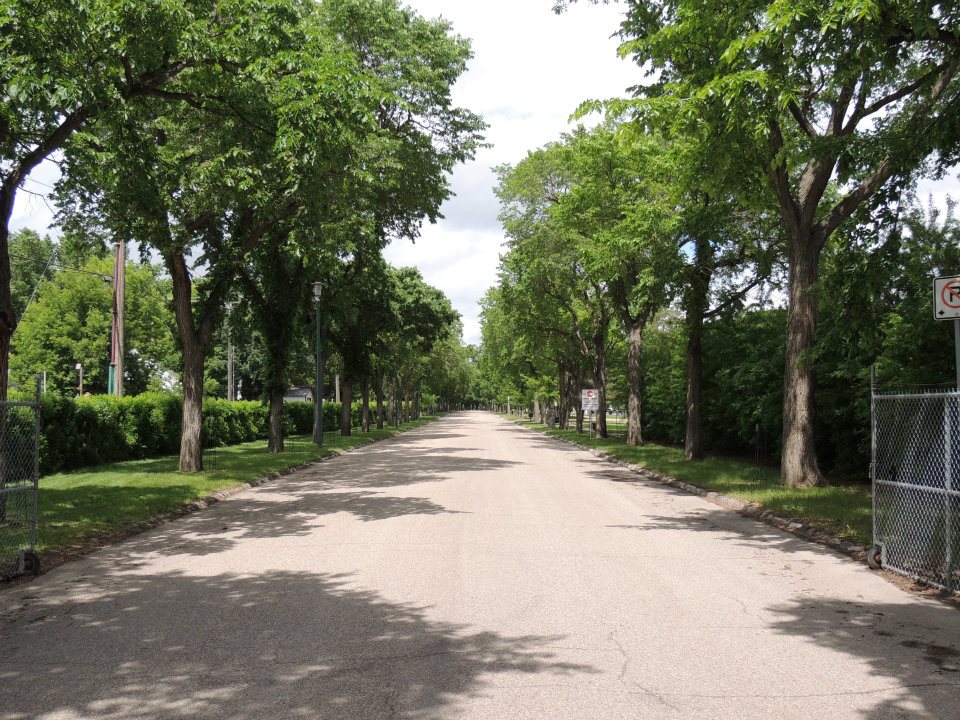 The Next of Kin Avenue